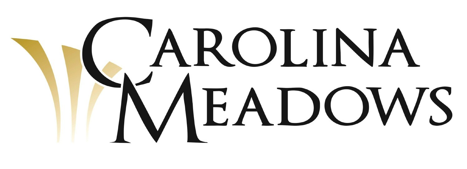Org Logo