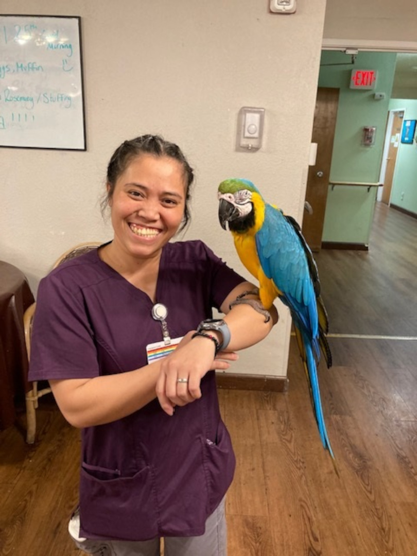 Pet Therapy for staff and residents to enjoy