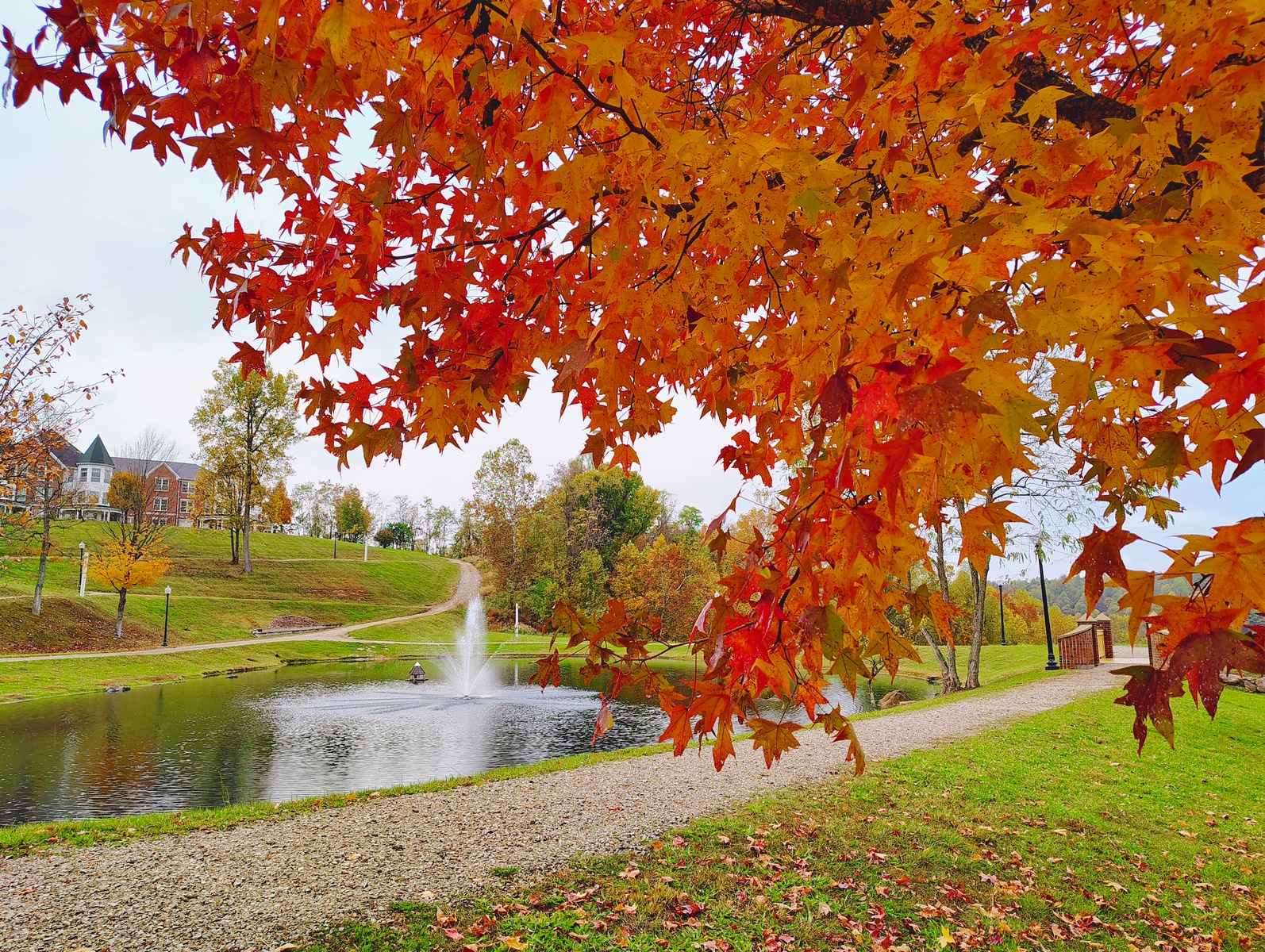 Beautiful fall colors envelop the Woodlands Community each year.