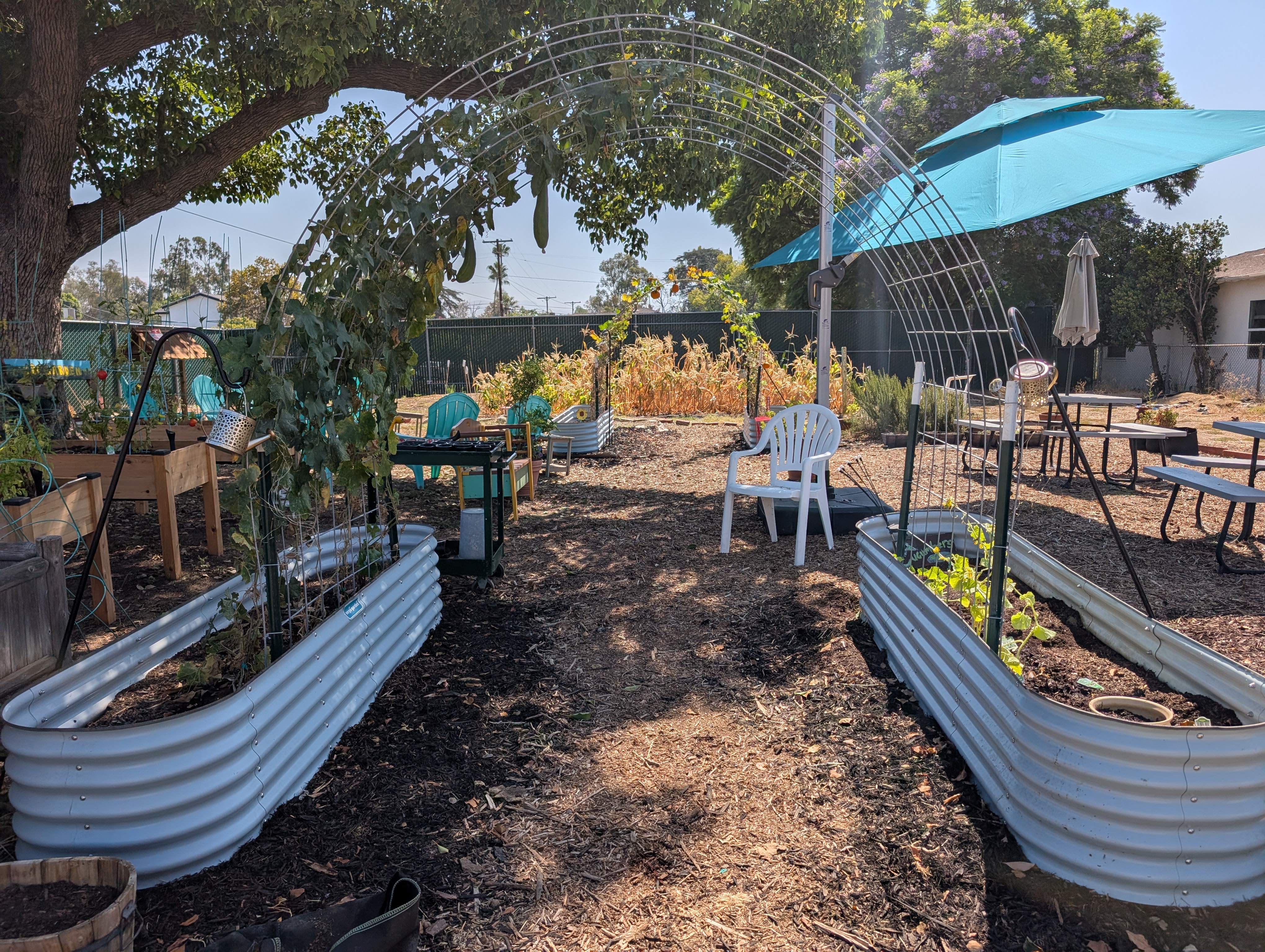 ARC’s garden offers hands-on learning, outdoor activity, and opportunities to grow.