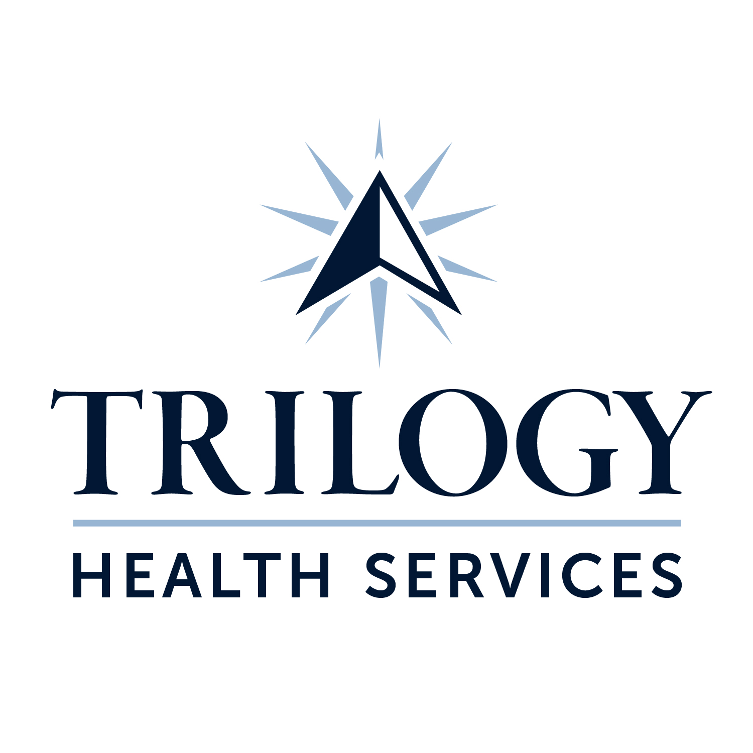 Org Logo